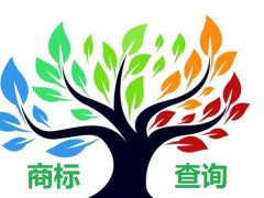 如何應(yīng)對商標查詢盲期？